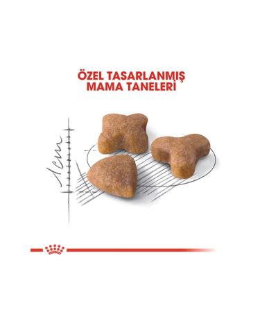 Royal Canin Sensible Sensitive Digestive System Supporting Cat Food 4kg Regular Adult Cat Food - Buy Online on GoSupps.com