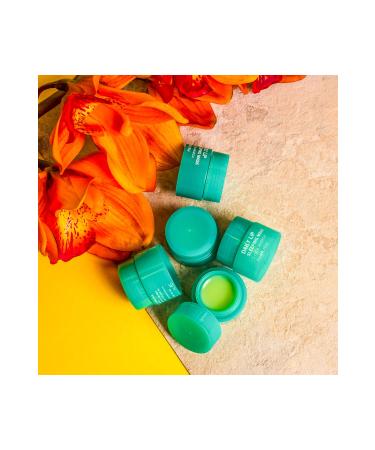 Farmstay Daily Lip Sleeping Mask - Cica Madeca 20gr - Buy Online on GoSupps.com