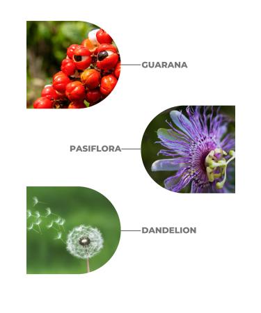 Zigavus Men Anti-Hair Loss Shampoo 300 ml 8699349130664 - Buy Online on GoSupps.com