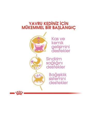 Royal Canin Kitten British Shorthair Kitten Cat Food 2 Kg - Buy Online on GoSupps.com