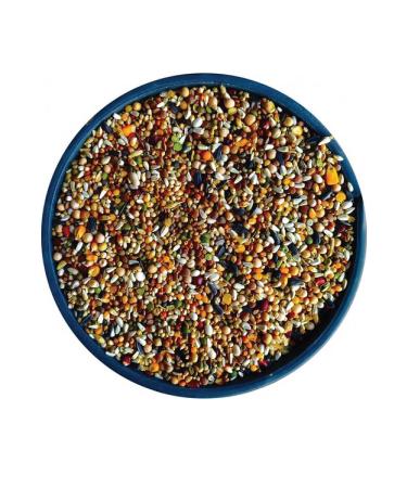 devavit Wheat-free Luxury Mixed Pigeon Food 5 Kg (11 TYPES MIXED PIGEON FOOD)