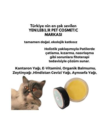 petipatis Paw nose skin Care Cream ("NATURAL PAW CREAM APPROVED BY THE MINISTRY OF VETERINARY AND AGRICULTURE) 50x1" - Buy Online on GoSupps.com