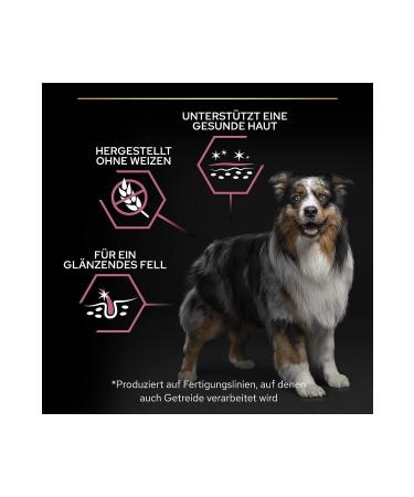 Purina Proplan Medium Adult Salmon Dog Food 3 kg - Buy Online on GoSupps.com