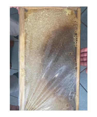 ASLANTA PEYN RC L K Organic (500gr) Comb Honey