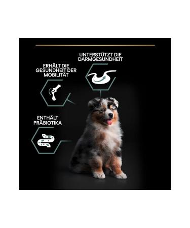 Purina Proplan Medium Puppy Lamb Meat Dog Food 3 kg - META PET - Buy Online on GoSupps.com