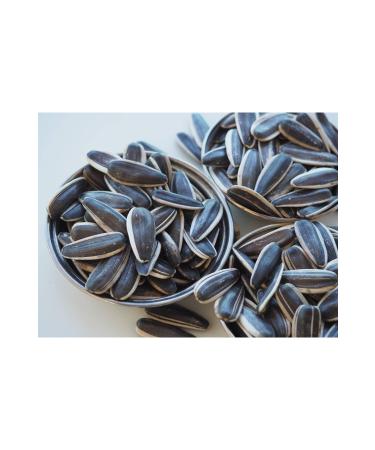 TicaretDenizi Raw Black Sunflower Seeds Dakota Large Size Sieve Top neg l Local 1.1 Kg