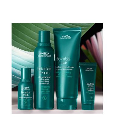 Aveda Botanical Repair Hair Repair and Styling Cream 150ml 018084042212 - Buy Online on GoSupps.com
