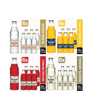 Beyo lu Carbonated Drink Mix-2 24x250 ML