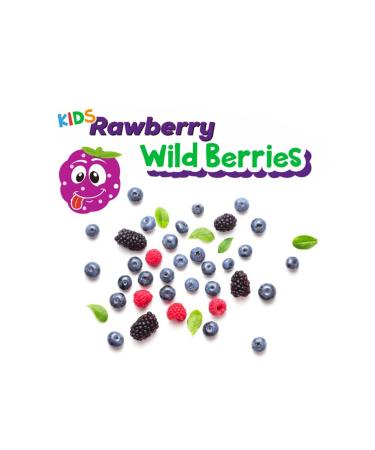 Rawberry Forest Fruit Sugar-Free Vegan Gluten-Free Kids Bar 15 Pieces in a Box - Buy Online on GoSupps.com