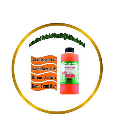 R hnfried Sedochol General Health Regulator (Liver-Kidney Supports) 250 Ml