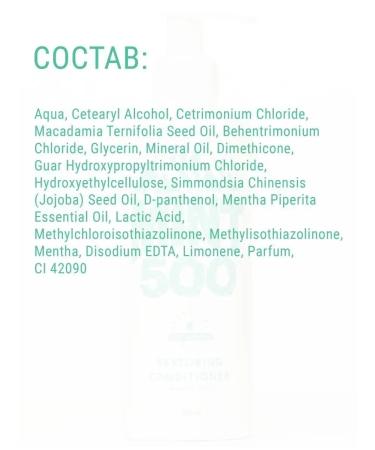 Mint500 Restoring hair air conditioner with a mentol 250 ml - Buy Online on GoSupps.com