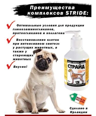 TRm Stride Plus Strude Plus for dogs 500 ml - Buy Online on GoSupps.com