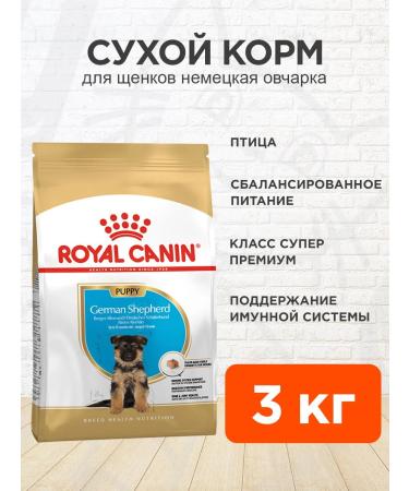 ROYAL CANIN Dog food dry German Shepherd for puppies 3 kg