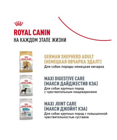 ROYAL CANIN Dog food dry German Shepherd for puppies 3 kg - Buy Online on GoSupps.com