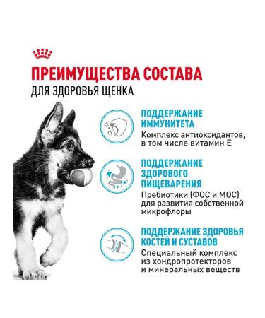 ROYAL CANIN Dog food dry German Shepherd for puppies 3 kg - Buy Online on GoSupps.com