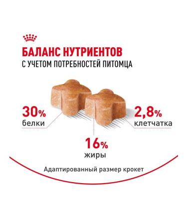 ROYAL CANIN Dog food dry German Shepherd for puppies 3 kg - Buy Online on GoSupps.com