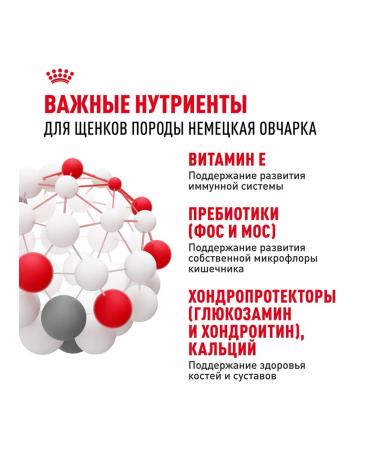 ROYAL CANIN Dog food dry German Shepherd for puppies 3 kg - Buy Online on GoSupps.com