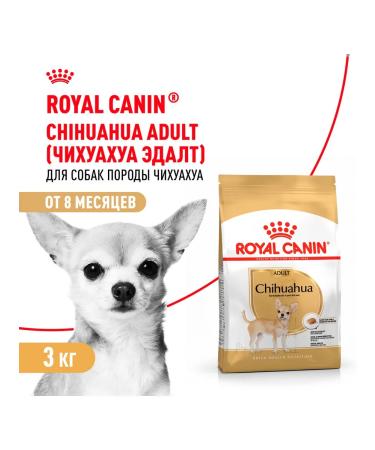 ROYAL CANIN Dog food dry chihuahua adult Chihuahua 3 kg - Buy Online on GoSupps.com