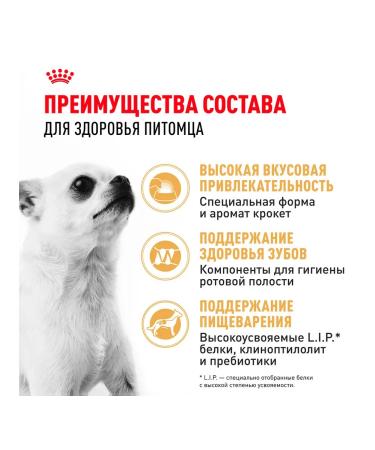 ROYAL CANIN Dog food dry chihuahua adult Chihuahua 3 kg - Buy Online on GoSupps.com