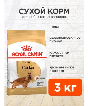 ROYAL CANIN Dog food dry Cocker Cocker Spaniel 3 kg