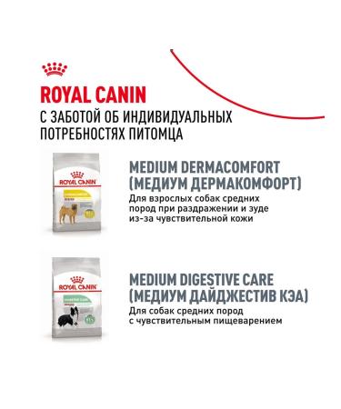 ROYAL CANIN Dog food dry Cocker Cocker Spaniel 3 kg - Buy Online on GoSupps.com
