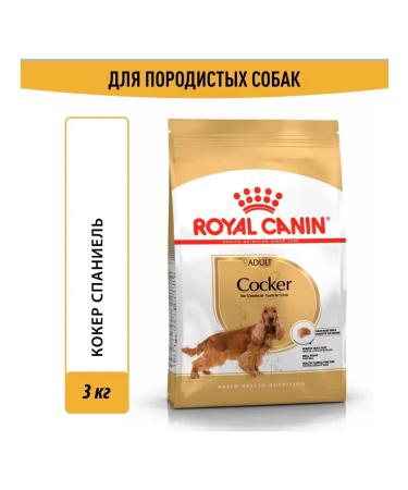 ROYAL CANIN Dog food dry Cocker Cocker Spaniel 3 kg - Buy Online on GoSupps.com