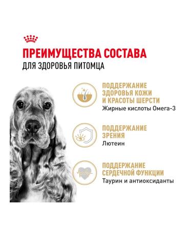 ROYAL CANIN Dog food dry Cocker Cocker Spaniel 3 kg - Buy Online on GoSupps.com