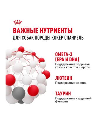 ROYAL CANIN Dog food dry Cocker Cocker Spaniel 3 kg - Buy Online on GoSupps.com