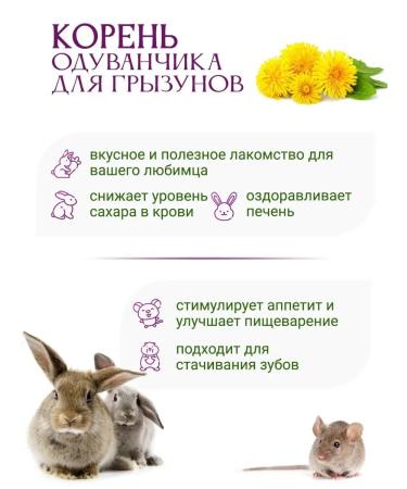 Herbs of the Crimean Mountains Dandelion roots for rodents 50 g - Buy Online on GoSupps.com