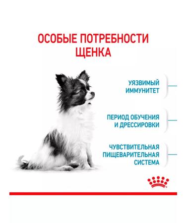 ROYAL CANIN Dog food for dry X-Small Puppy for puppies 3 kg - Buy Online on GoSupps.com