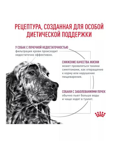 ROYAL CANIN Dog food dry Renal RF14 Renal 2 kg - Buy Online on GoSupps.com