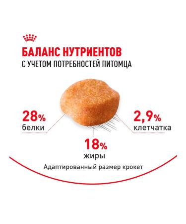 ROYAL CANIN Dog food dry Yorkshire Terrier 7.5 kg - Buy Online on GoSupps.com