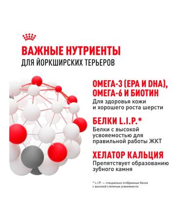 ROYAL CANIN Dog food dry Yorkshire Terrier 7.5 kg - Buy Online on GoSupps.com