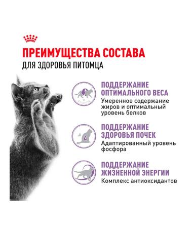 ROYAL CANIN Feed for sterilized cats of the elderly Sterilized 1.5 kg - Buy Online on GoSupps.com