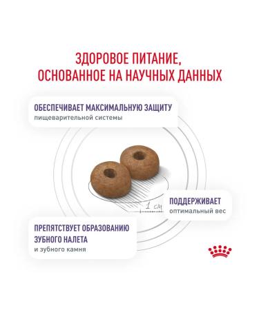 ROYAL CANIN Dry food for dogs sterilized for small rocks 0.8 kg - Buy Online on GoSupps.com