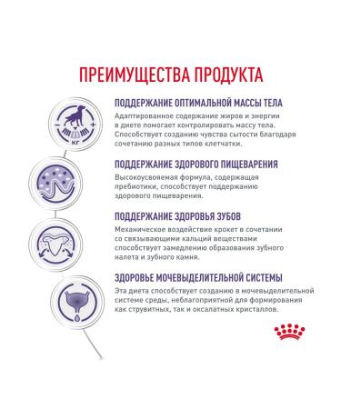 ROYAL CANIN Dry food for dogs sterilized for small rocks 0.8 kg - Buy Online on GoSupps.com