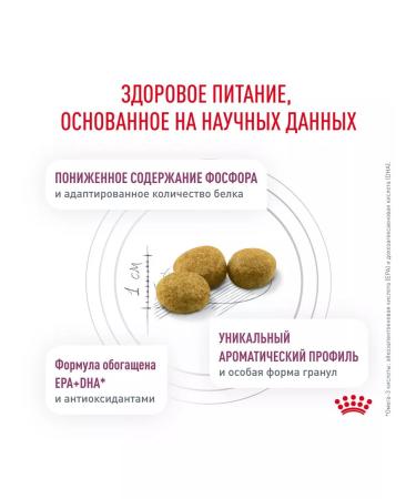 ROYAL CANIN Cat food dry Renal RF23 Renal 4 kg - Buy Online on GoSupps.com