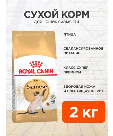 ROYAL CANIN Cat food dry siamese 2 kg