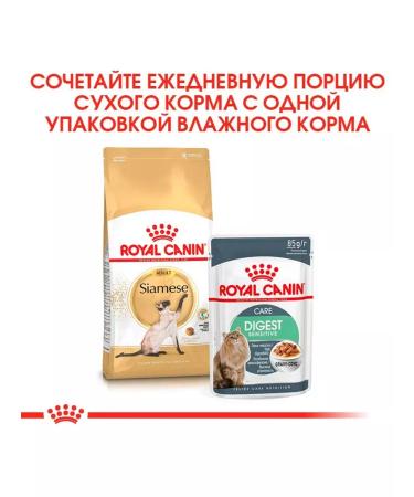 ROYAL CANIN Cat food dry siamese 2 kg - Buy Online on GoSupps.com