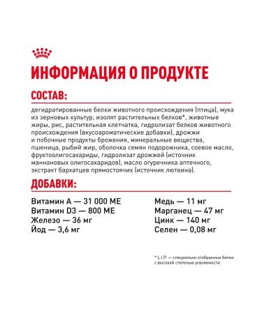 ROYAL CANIN Cat food dry Persian Adult 2 kg - Buy Online on GoSupps.com