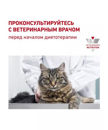 ROYAL CANIN Skin & Coat dry food for sterilized cats 1.5 kg - Buy Online on GoSupps.com