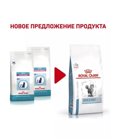 ROYAL CANIN Skin & Coat dry food for sterilized cats 1.5 kg - Buy Online on GoSupps.com