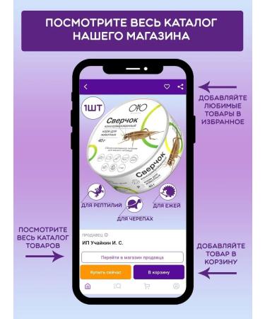 ONTO Canned cricket - 1pc - Buy Online on GoSupps.com