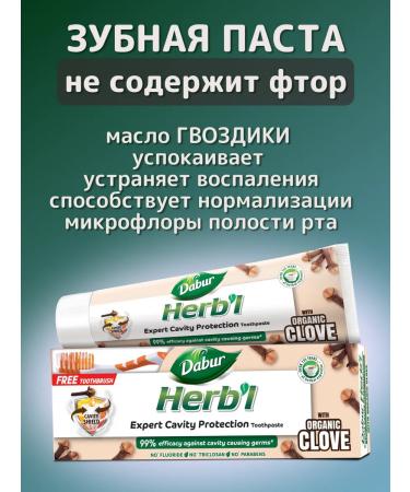 Dabur Toothpaste clove 150 g - Buy Online on GoSupps.com