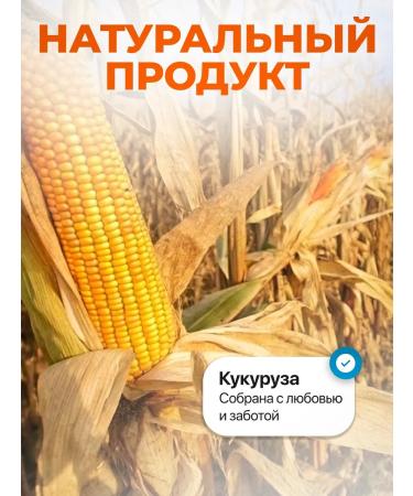 Honey and Jam Saga tapioka cereal without gluten 500 g Lenten - Buy Online on GoSupps.com