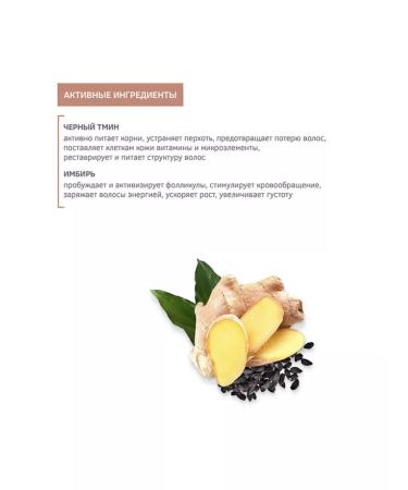 Zeitun Hair shampoo with ginger and black cable - Buy Online on GoSupps.com