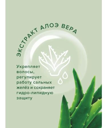 Floritell Salusfantic shampoo for hair growth - Buy Online on GoSupps.com