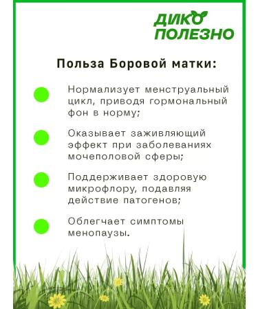 Incredibly useful Boron uterus grass and leaves for women's health 100g - Buy Online on GoSupps.com