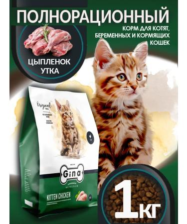 Gina Dry food for pregnant women feeding cats and kittens 1 kg