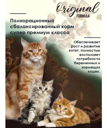 Gina Dry food for pregnant women feeding cats and kittens 1 kg - Buy Online on GoSupps.com